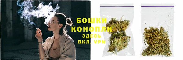 дживик Касимов