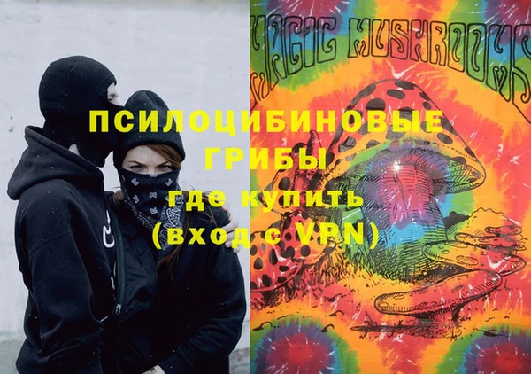 дживик Касимов