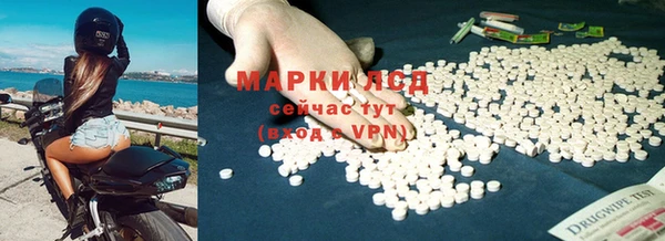 дживик Касимов