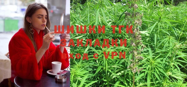 гидропоника Карпинск