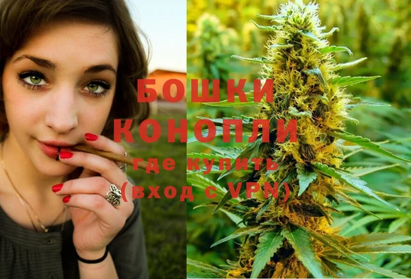 дживик Касимов