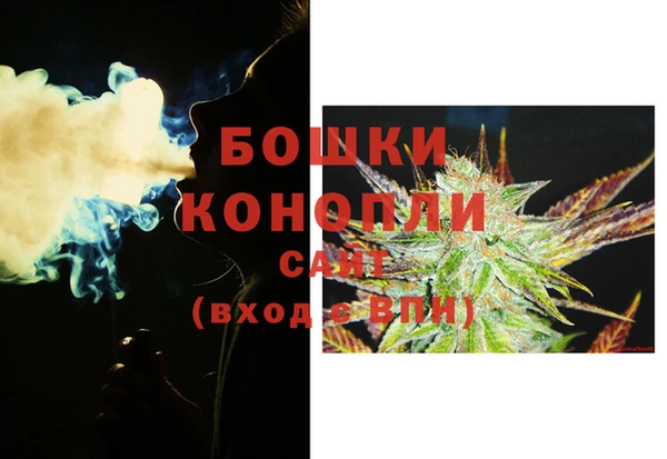 гидропоника Карпинск